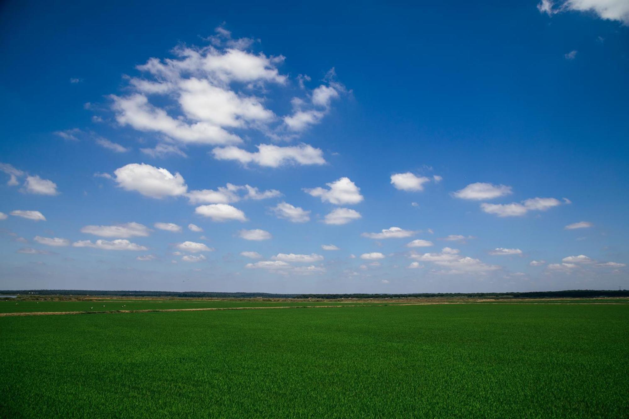 Herdade De Montalvo - Comporta Εξωτερικό φωτογραφία