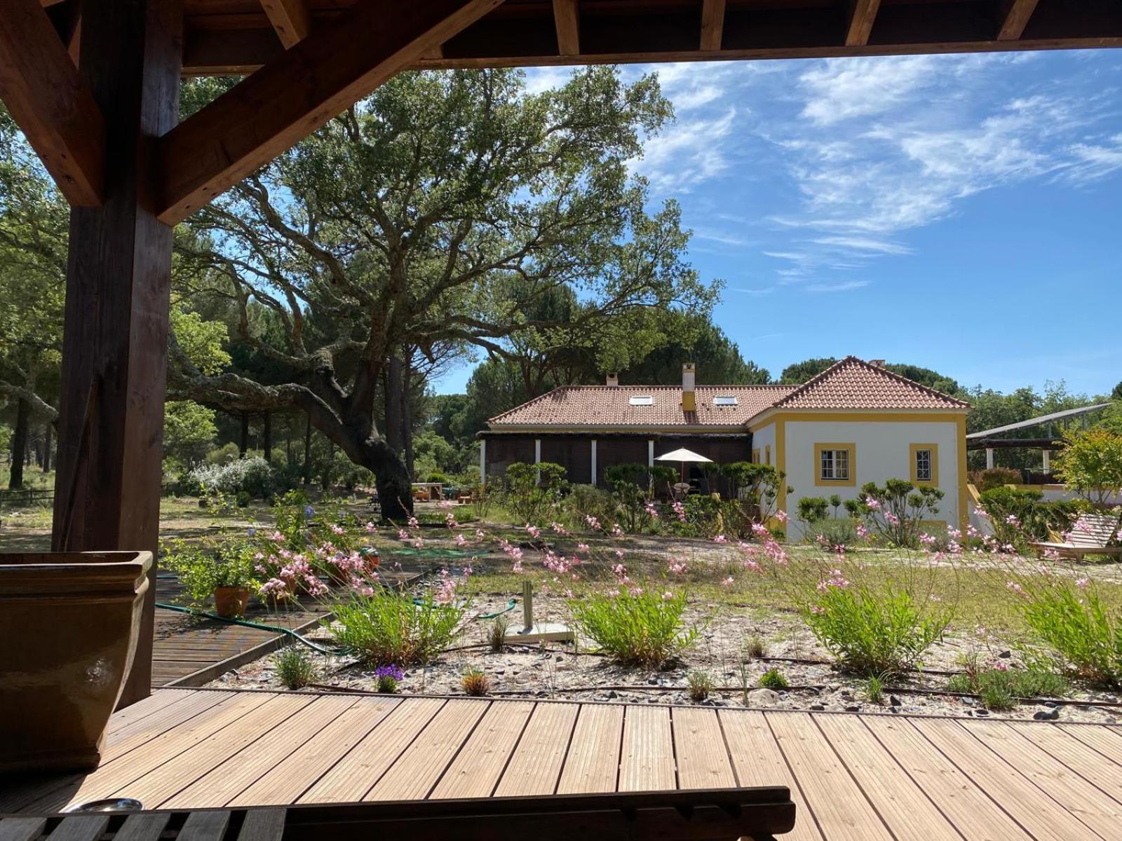 Herdade De Montalvo - Comporta Εξωτερικό φωτογραφία
